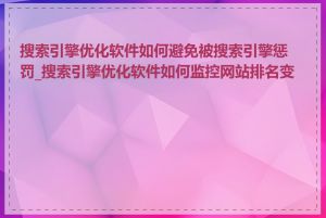 搜索引擎优化软件如何避免被搜索引擎惩罚_搜索引擎优化软件如何监控网站排名变化