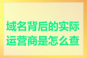 域名背后的实际运营商是怎么查的