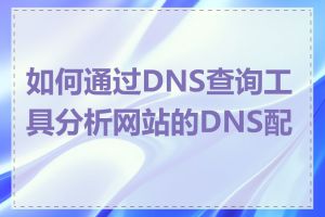 如何通过DNS查询工具分析网站的DNS配置