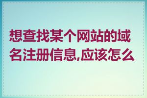 想查找某个网站的域名注册信息,应该怎么做