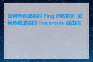 如何查看域名的 Ping 响应时间_如何查看域名的 Traceroute 路由信息