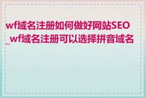 wf域名注册如何做好网站SEO_wf域名注册可以选择拼音域名吗