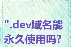 ".dev域名能永久使用吗?"