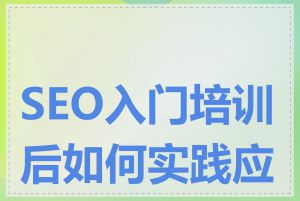 SEO入门培训后如何实践应用