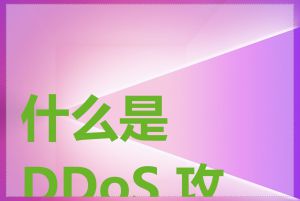 什么是 DDoS 攻击