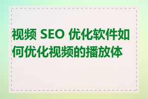 视频 SEO 优化软件如何优化视频的播放体验