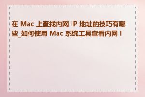 在 Mac 上查找内网 IP 地址的技巧有哪些_如何使用 Mac 系统工具查看内网 IP