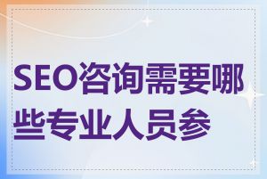 SEO咨询需要哪些专业人员参与