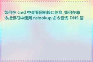 如何在 cmd 中查看网络接口信息_如何在命令提示符中使用 nslookup 命令查询 DNS 信息