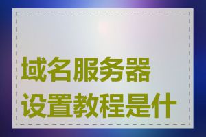 域名服务器设置教程是什么