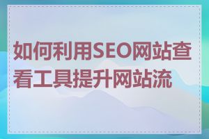 如何利用SEO网站查看工具提升网站流量