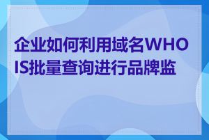 企业如何利用域名WHOIS批量查询进行品牌监控