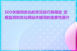 SEO关键词优化的常见技巧有哪些_定期监测和优化网站关键词的重要性是什么