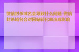 微信封杀域名会导致什么问题_微信封杀域名会对网站转化率造成影响吗