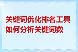 关键词优化排名工具如何分析关键词数据