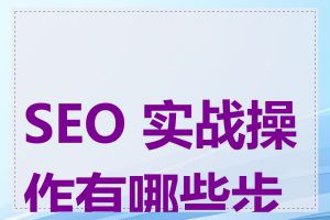 SEO 实战操作有哪些步骤