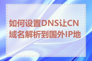 如何设置DNS让CN域名解析到国外IP地址