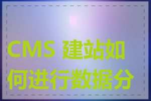 CMS 建站如何进行数据分析