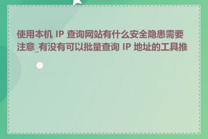 使用本机 IP 查询网站有什么安全隐患需要注意_有没有可以批量查询 IP 地址的工具推荐