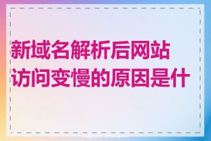 新域名解析后网站访问变慢的原因是什么