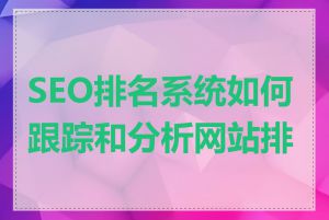 SEO排名系统如何跟踪和分析网站排名