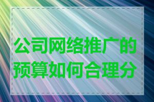 公司网络推广的预算如何合理分配