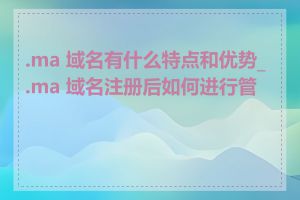 .ma 域名有什么特点和优势_.ma 域名注册后如何进行管理