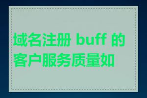 域名注册 buff 的客户服务质量如何