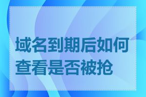 域名到期后如何查看是否被抢注