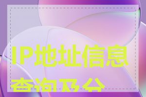 IP地址信息查询及分析