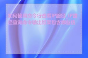 如何使用命令行查看IP路径_IP路径查询命令输出结果包含哪些信息