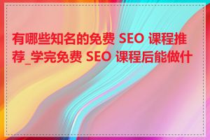 有哪些知名的免费 SEO 课程推荐_学完免费 SEO 课程后能做什么