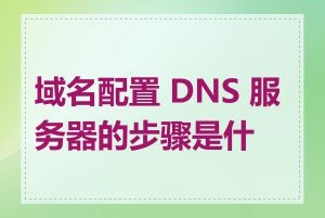 域名配置 DNS 服务器的步骤是什么