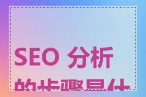 SEO 分析的步骤是什么