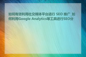 如何有效利用社交媒体平台进行 SEO 推广_如何利用Google Analytics等工具进行SEO分析