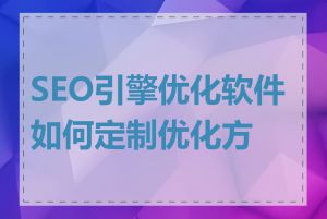 SEO引擎优化软件如何定制优化方案