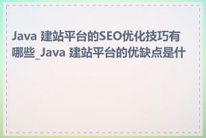 Java 建站平台的SEO优化技巧有哪些_Java 建站平台的优缺点是什么