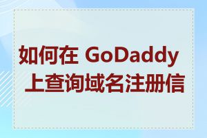 如何在 GoDaddy 上查询域名注册信息