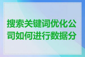 搜索关键词优化公司如何进行数据分析