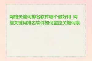 网络关键词排名软件哪个最好用_网络关键词排名软件如何监控关键词表现