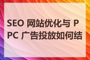 SEO 网站优化与 PPC 广告投放如何结合