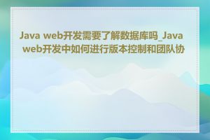 Java web开发需要了解数据库吗_Java web开发中如何进行版本控制和团队协作