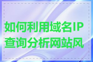 如何利用域名IP查询分析网站风险