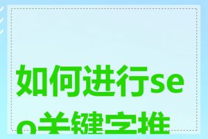 如何进行seo关键字推广