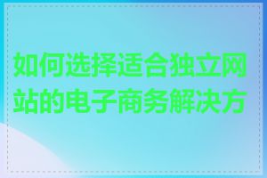 如何选择适合独立网站的电子商务解决方案