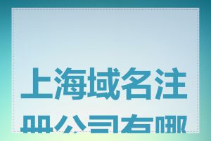 上海域名注册公司有哪些