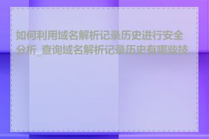 如何利用域名解析记录历史进行安全分析_查询域名解析记录历史有哪些技巧