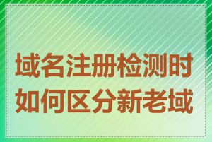 域名注册检测时如何区分新老域名