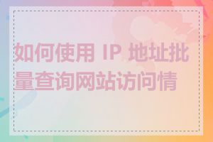 如何使用 IP 地址批量查询网站访问情况