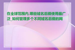 在全球范围内,哪些域名后缀使用最广泛_如何管理多个不同域名后缀的网站